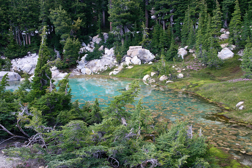 06-27 - 15.JPG - Lassen Volcanic National Park, CA